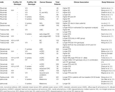 Relevance of Fc Gamma Receptor Polymorphisms in Cancer Therapy With Monoclonal Antibodies